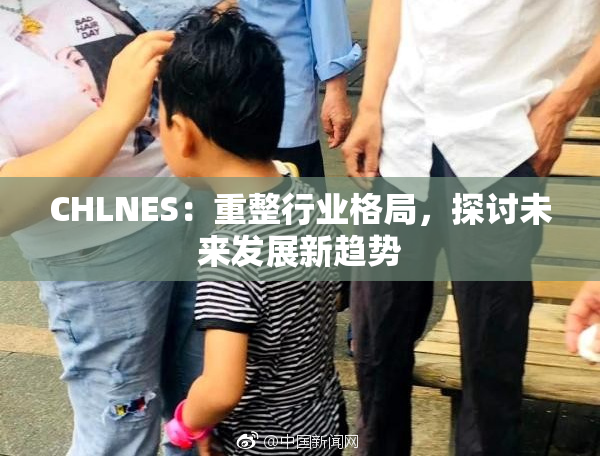 CHLNES：重整行业格局，探讨未来发展新趋势