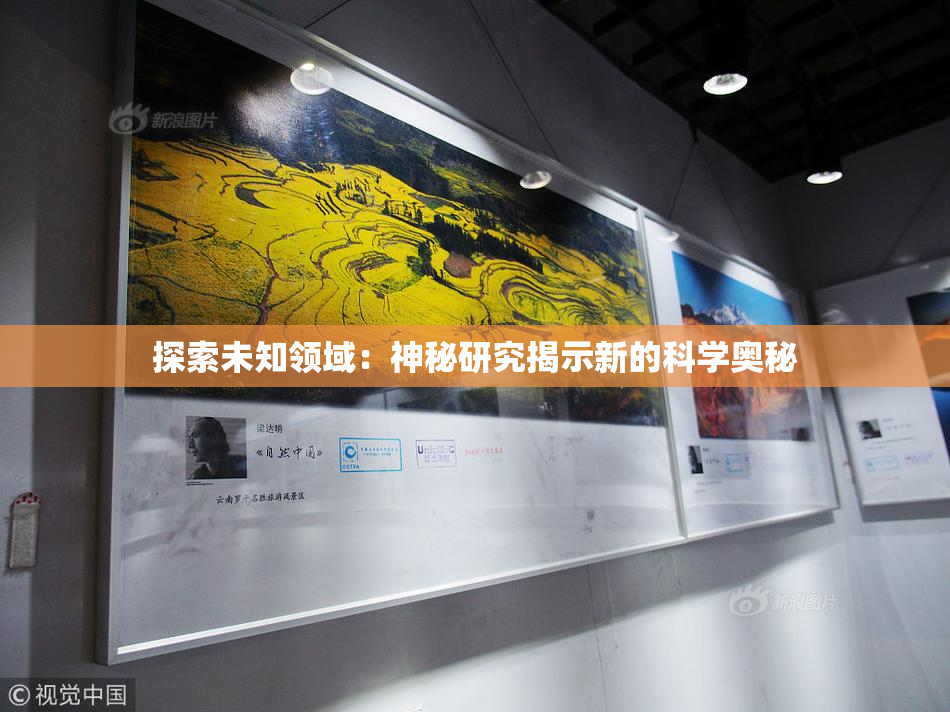 探索未知领域：神秘研究揭示新的科学奥秘