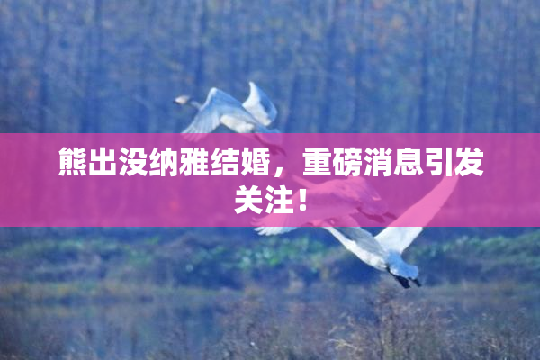 熊出没纳雅结婚，重磅消息引发关注！