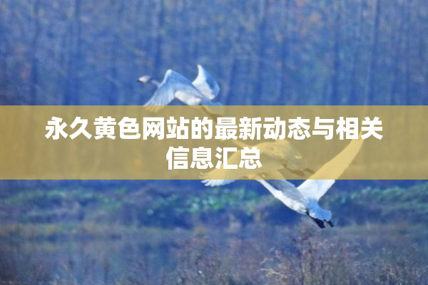 永久黄色网站的最新动态与相关信息汇总