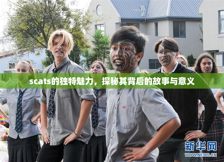 scats的独特魅力，探秘其背后的故事与意义