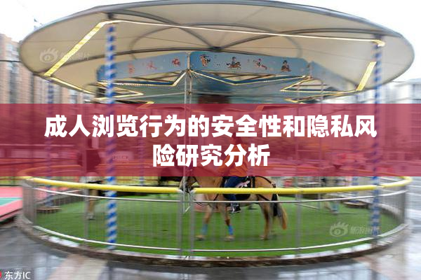 成人浏览行为的安全性和隐私风险研究分析