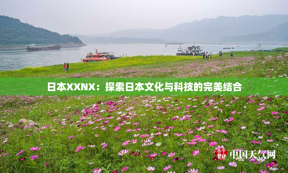 日本XXNX：探索日本文化与科技的完美结合