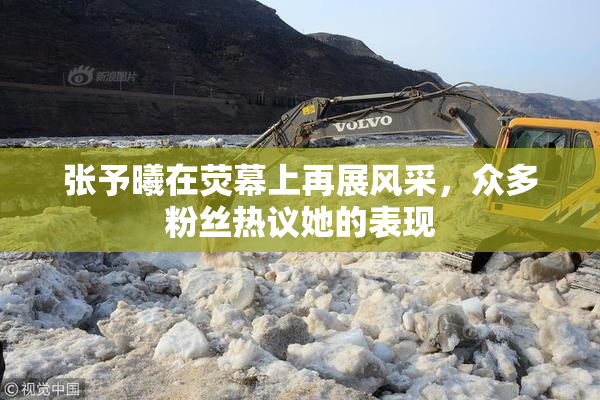 张予曦在荧幕上再展风采，众多粉丝热议她的表现