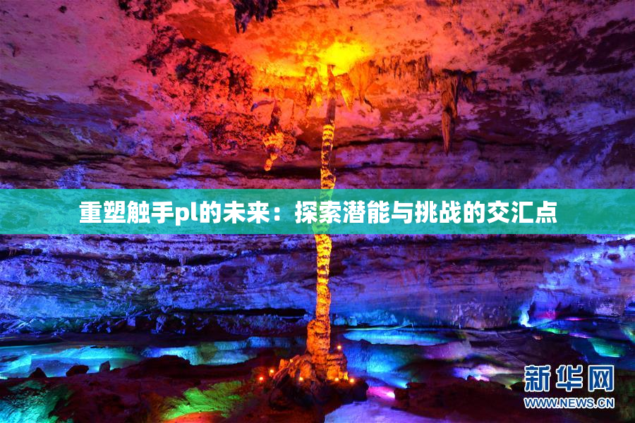 重塑触手pl的未来：探索潜能与挑战的交汇点