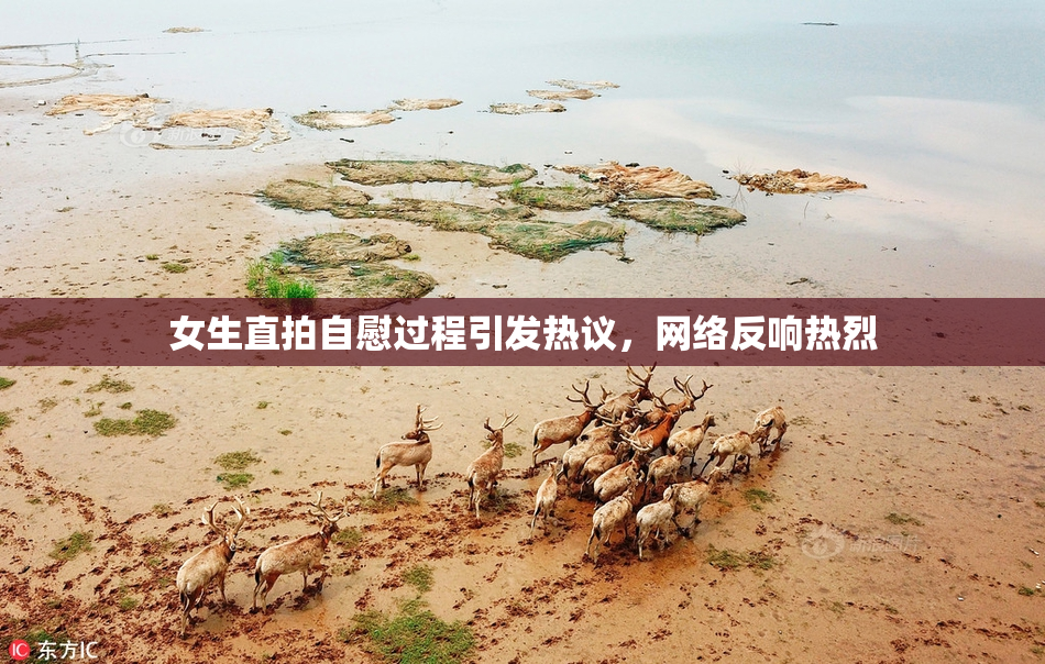 女生直拍自慰过程引发热议，网络反响热烈