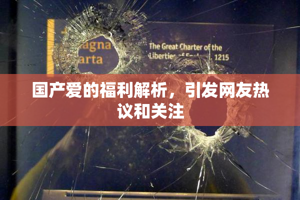 国产爱的福利解析，引发网友热议和关注