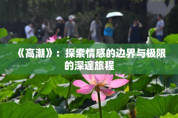 《高潮》：探索情感的边界与极限的深邃旅程