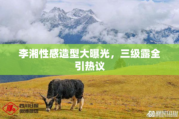 李湘性感造型大曝光，三级露全引热议