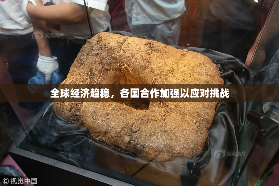全球经济趋稳，各国合作加强以应对挑战