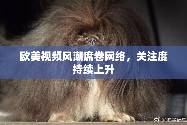 欧美视频风潮席卷网络，关注度持续上升