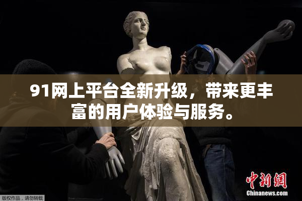 91网上平台全新升级，带来更丰富的用户体验与服务。
