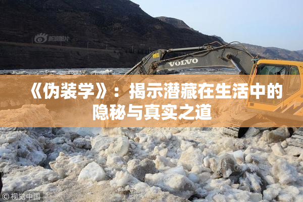 《伪装学》：揭示潜藏在生活中的隐秘与真实之道