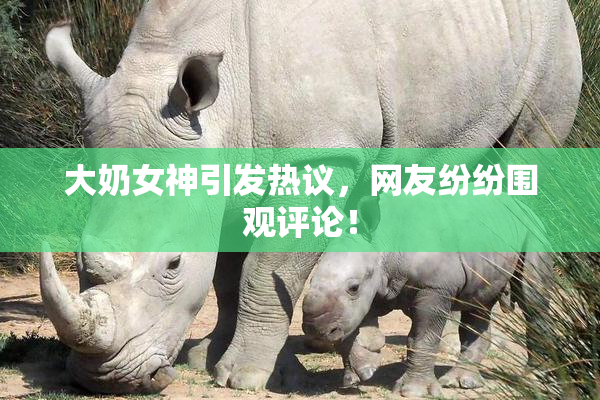 大奶女神引发热议，网友纷纷围观评论！