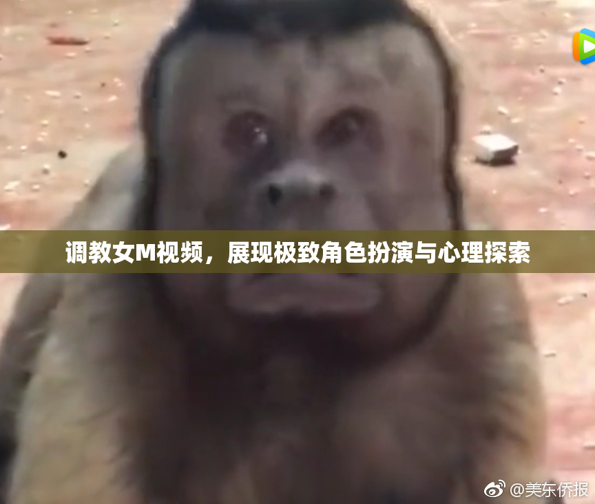 调教女M视频，展现极致角色扮演与心理探索