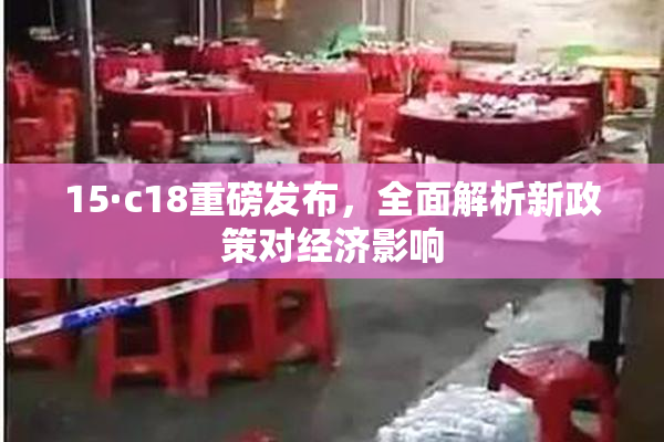 15·c18重磅发布，全面解析新政策对经济影响