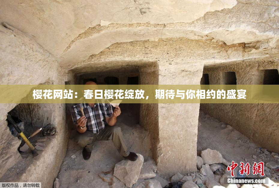 樱花网站：春日樱花绽放，期待与你相约的盛宴