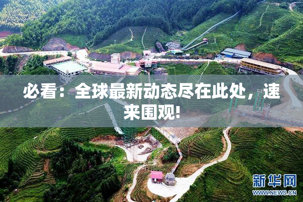 必看：全球最新动态尽在此处，速来围观!