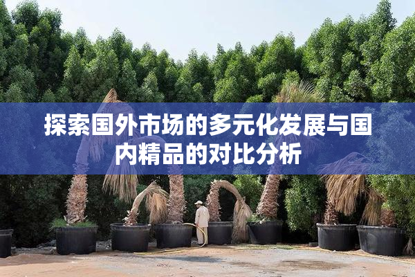 探索国外市场的多元化发展与国内精品的对比分析