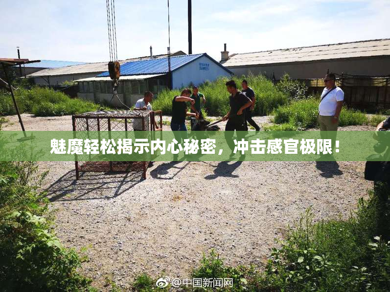 魅魔轻松揭示内心秘密，冲击感官极限！