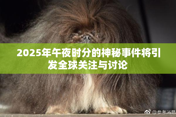 2025年午夜时分的神秘事件将引发全球关注与讨论