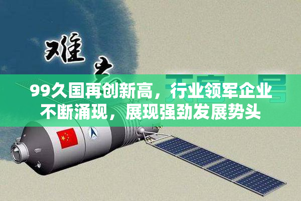 99久国再创新高，行业领军企业不断涌现，展现强劲发展势头