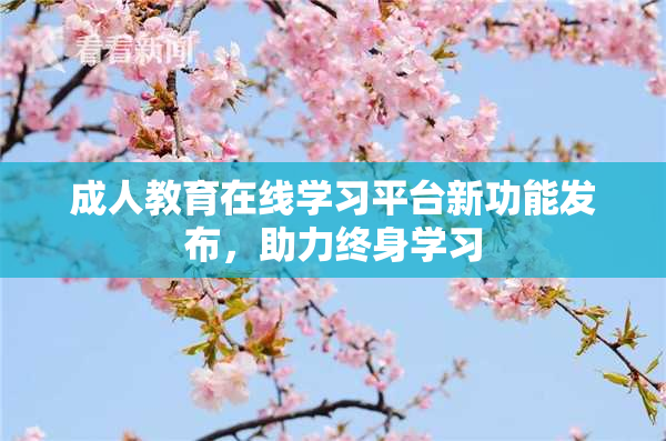 成人教育在线学习平台新功能发布，助力终身学习