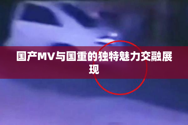 国产MV与国重的独特魅力交融展现