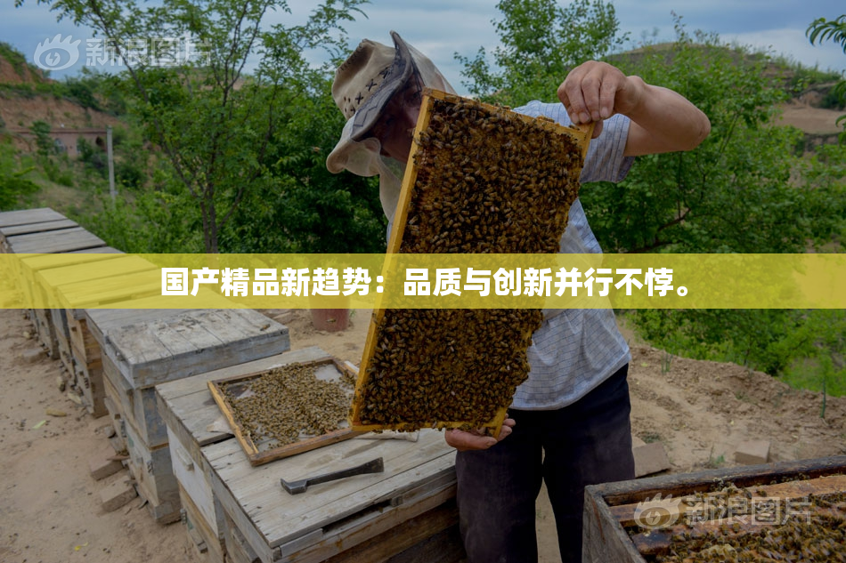国产精品新趋势：品质与创新并行不悖。