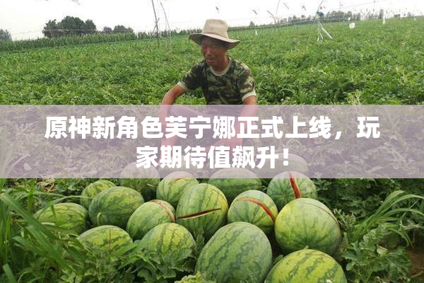 原神新角色芙宁娜正式上线，玩家期待值飙升！