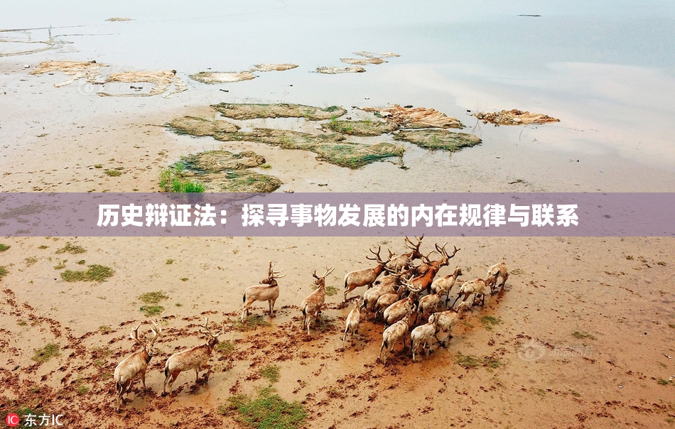 历史辩证法：探寻事物发展的内在规律与联系