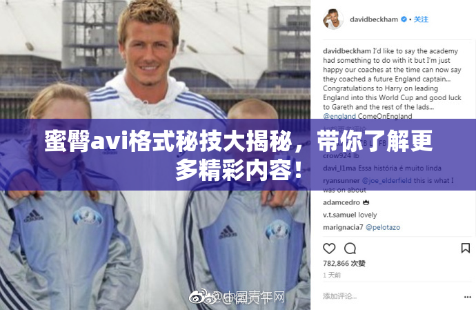 蜜臀avi格式秘技大揭秘，带你了解更多精彩内容！