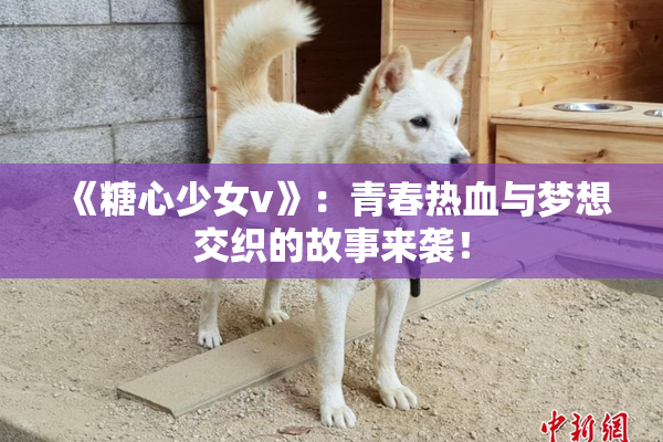 《糖心少女v》：青春热血与梦想交织的故事来袭！