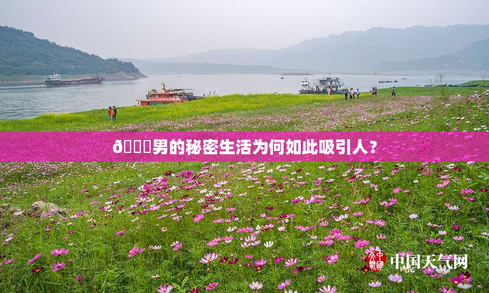 😚男的秘密生活为何如此吸引人？