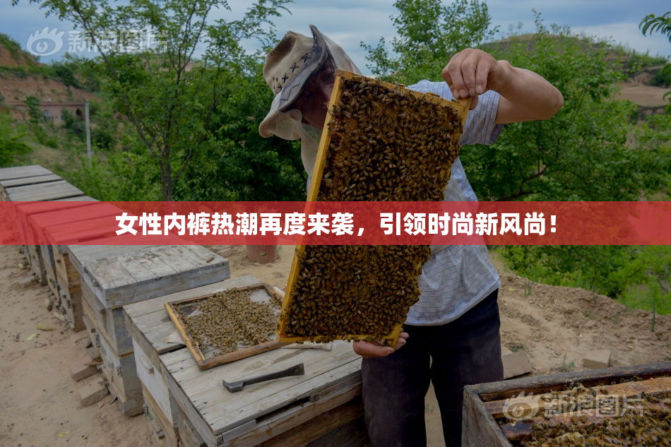 女性内裤热潮再度来袭，引领时尚新风尚！