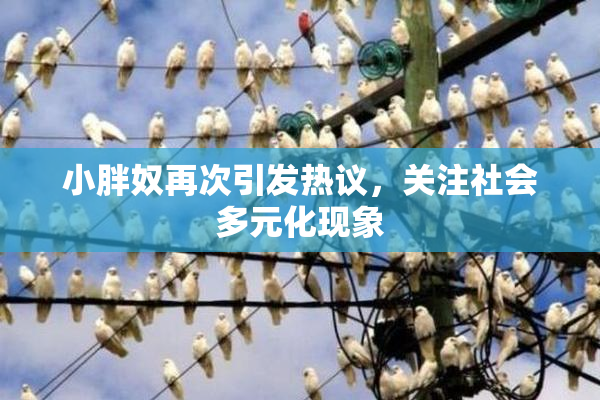 小胖奴再次引发热议，关注社会多元化现象