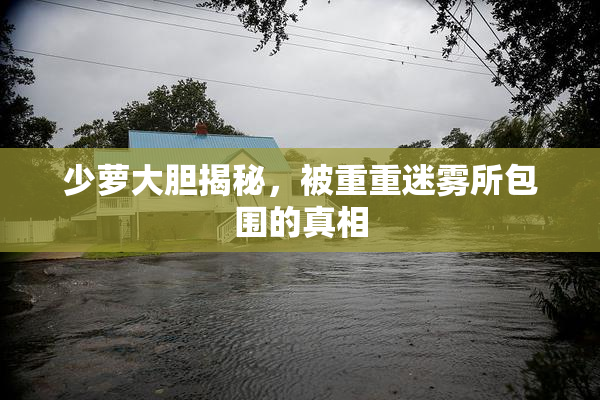 少萝大胆揭秘，被重重迷雾所包围的真相