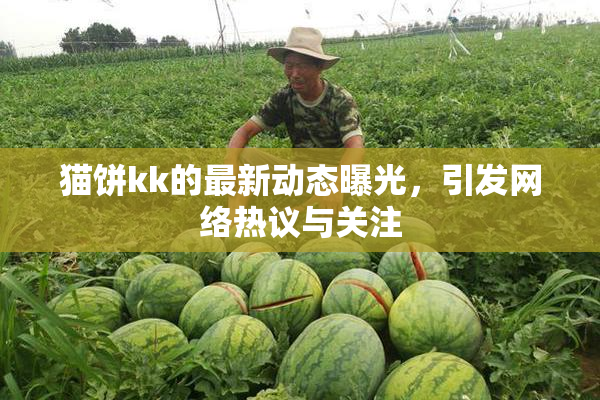 猫饼kk的最新动态曝光，引发网络热议与关注
