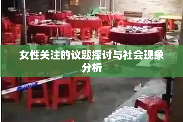 女性关注的议题探讨与社会现象分析