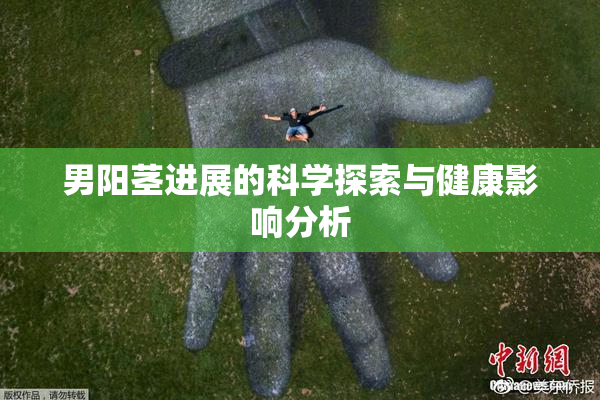男阳茎进展的科学探索与健康影响分析