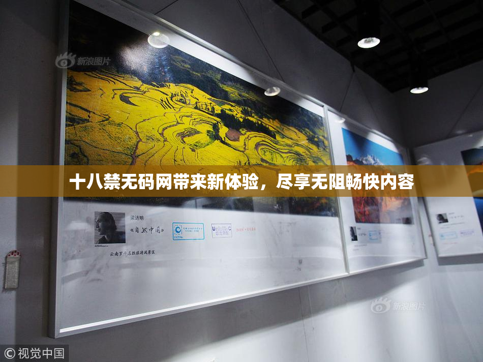 十八禁无码网带来新体验，尽享无阻畅快内容