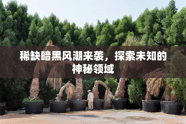 稀缺暗黑风潮来袭，探索未知的神秘领域