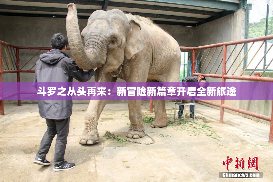 斗罗之从头再来：新冒险新篇章开启全新旅途