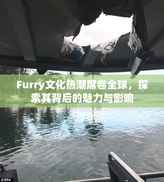 Furry文化热潮席卷全球，探索其背后的魅力与影响