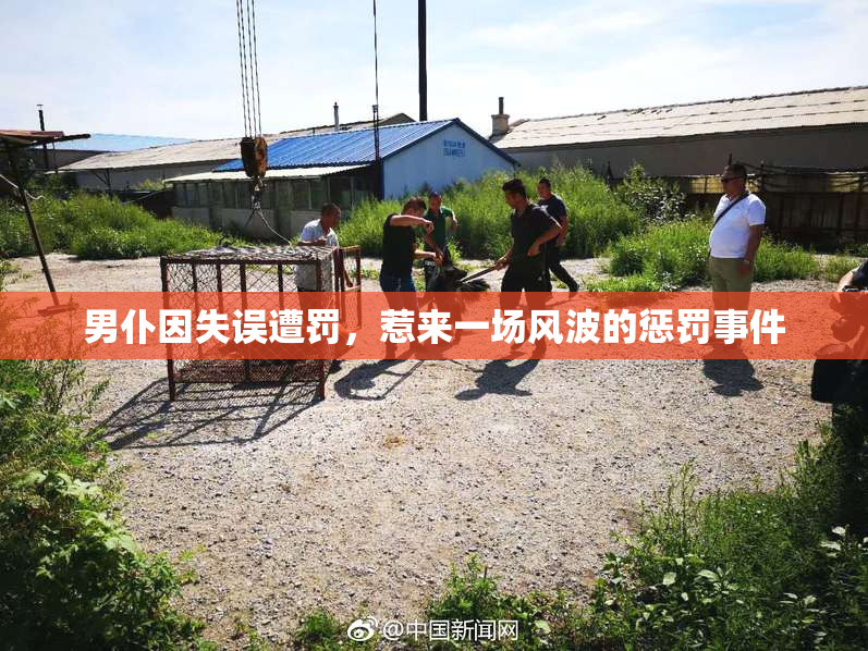 男仆因失误遭罚，惹来一场风波的惩罚事件