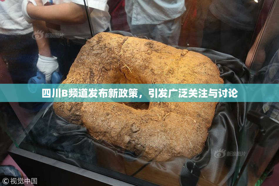 四川B频道发布新政策，引发广泛关注与讨论
