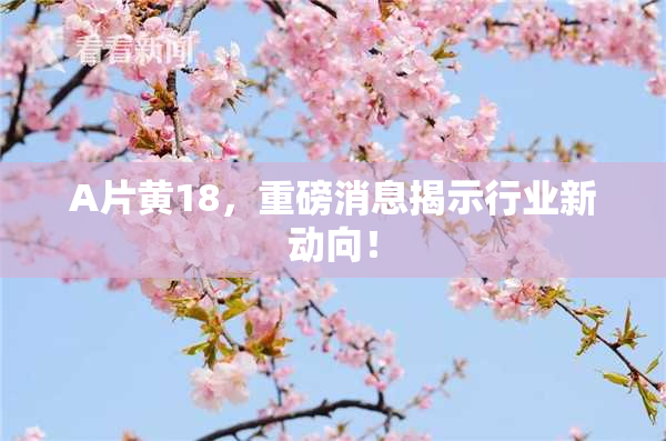 A片黄18，重磅消息揭示行业新动向！