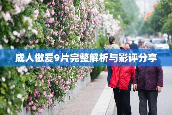成人做爰9片完整解析与影评分享