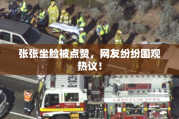 张张坐脸被点赞，网友纷纷围观热议！