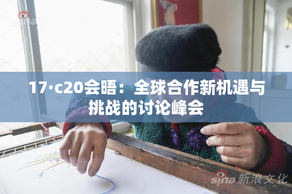 17·c20会晤：全球合作新机遇与挑战的讨论峰会